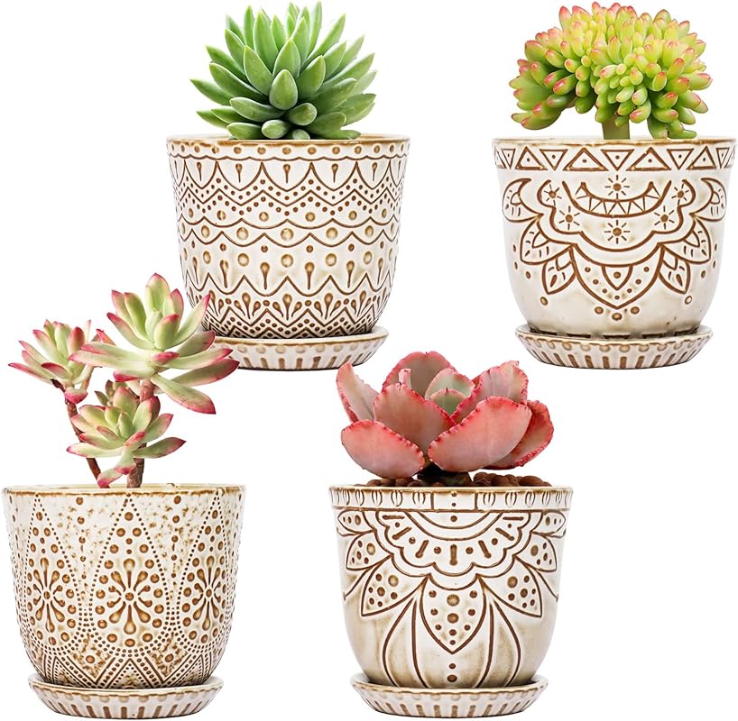 10 Best Pots For Succulents: Expert-Approved For Optimal Plant Health