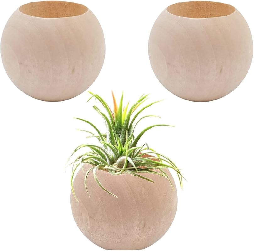 3-Pack Wooden Air Plant Holders & Pots