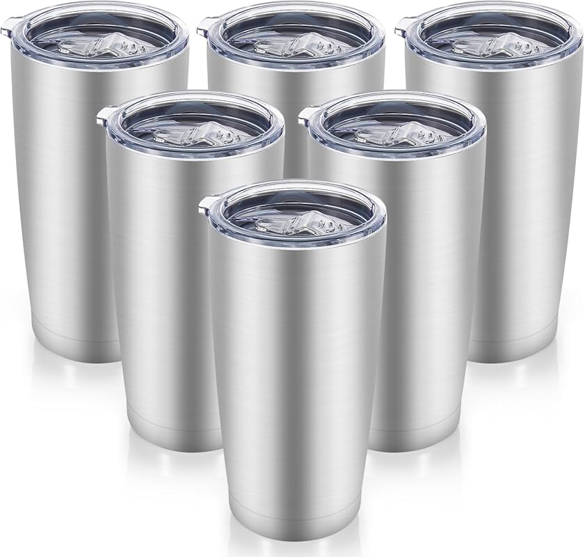 6-Pack 20 oz Stainless Steel Double Wall Vacuum Insulated Tumblers wit
