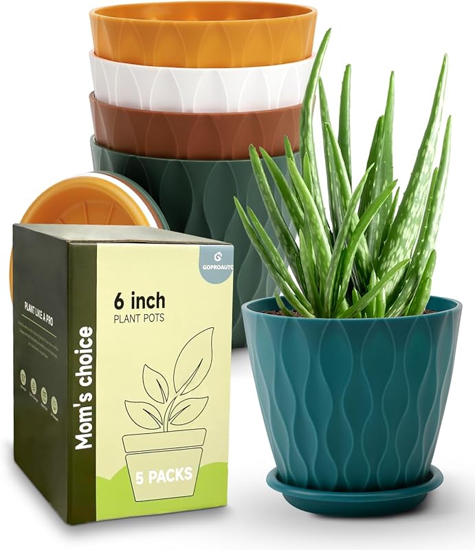 Multicolor 6-Inch Planter Pots (5-Pack) for Indoor/Outdoor Plants, Dra