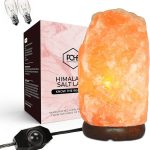 The 10 Best Himalayan Salt Lamps: Quality Expert Picks