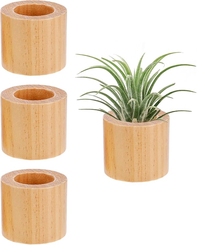 Bigmeta 3 Pcs Wooden Air Plant Holders