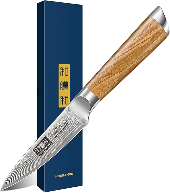 HOSHANHO Damascus 3.75" Paring Knife - Professional Hand Forged 67-Lay