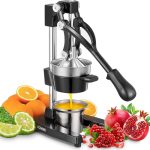10 Best Commercial Citrus Juicers: Expert-Vetted & Built to Last