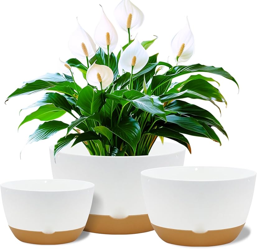 Set of 3 Large White 8/10/12 Inch Self-Watering Plastic Planters with