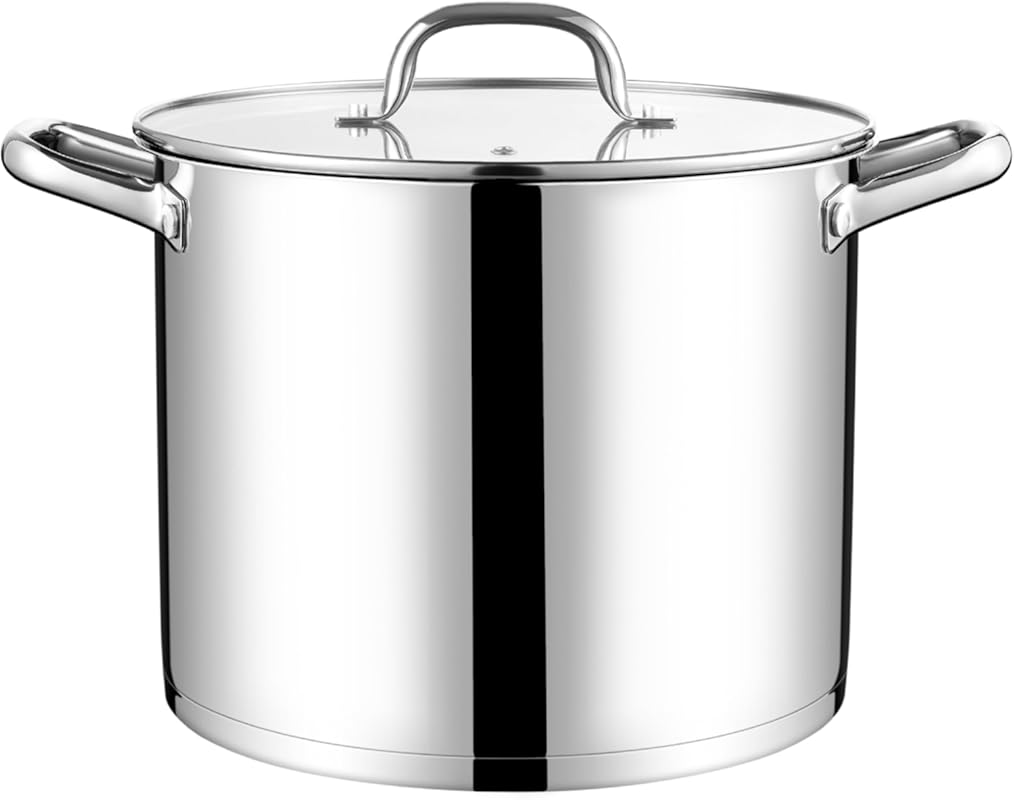 LIANYU 10 Quart Tri-ply Stainless Steel Stockpot with Lid, Heavy Duty 