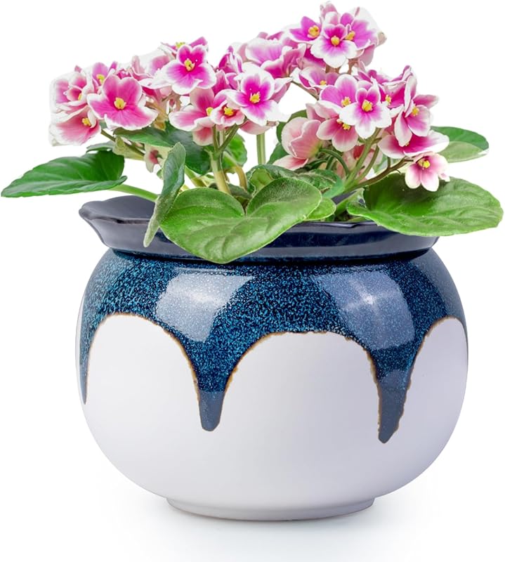 6 Inch Gradient Blue Ceramic Self Watering African Violet Pot for Indo