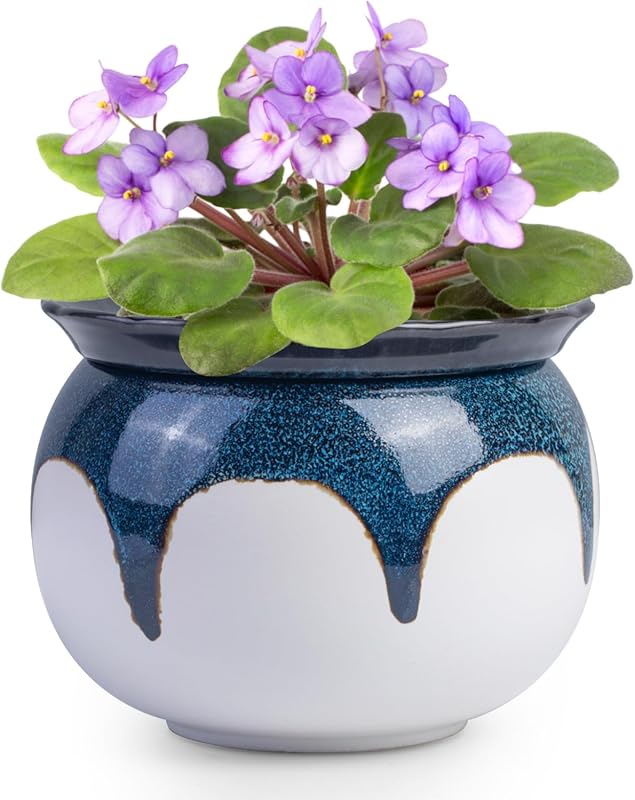 6 Inch Blue Ceramic Self Watering African Violet Pot for Indoor Plants