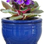 10 Best Pots For African Violets: Expert Picks for Perfect Blooms