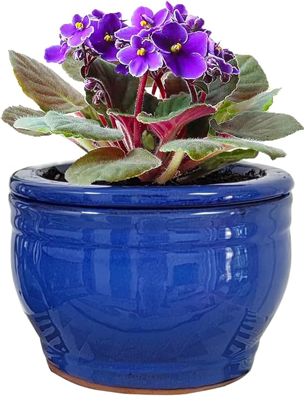 10 Best Pots For African Violets: Expert Picks for Perfect Blooms
