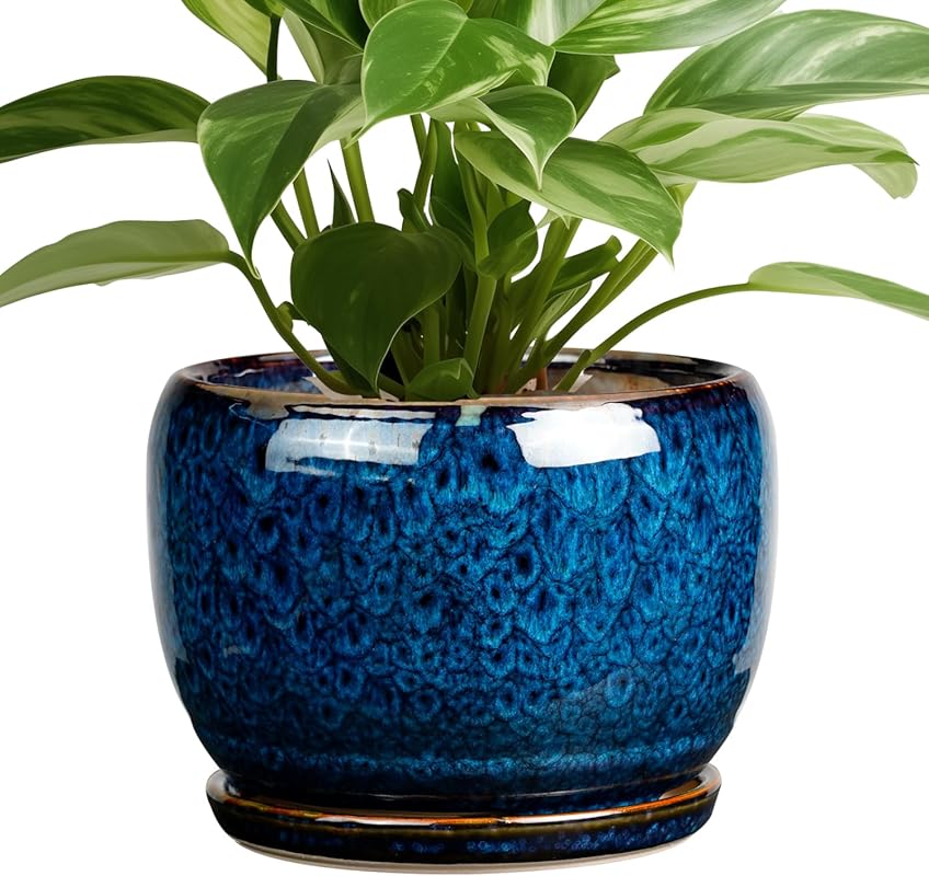 SQOWL 8 Inch Glazed Blue Round Ceramic Planter with Drainage Hole and