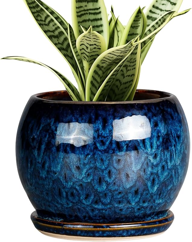 SQOWL 6-Inch Blue Ceramic Planter Pot with Drainage & Saucer for Indoo