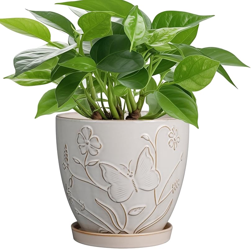 White 6 Inch Ceramic Plant Pot with Drainage Hole & Saucer for Indoor