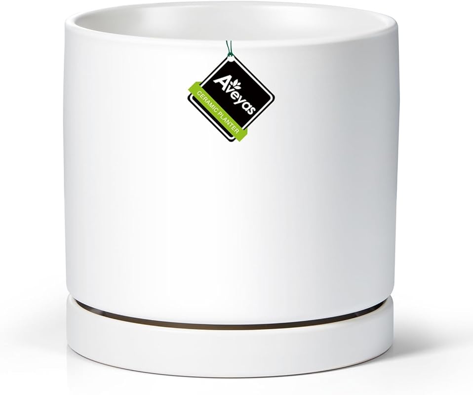 10 Best Pots For Monstera: Expert Picks for Healthy Growth