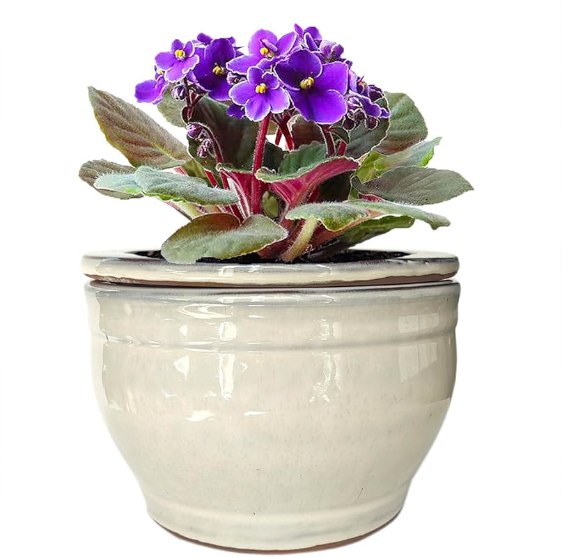 6 Inch White Ceramic Self Watering African Violet Pot, Round Design fo