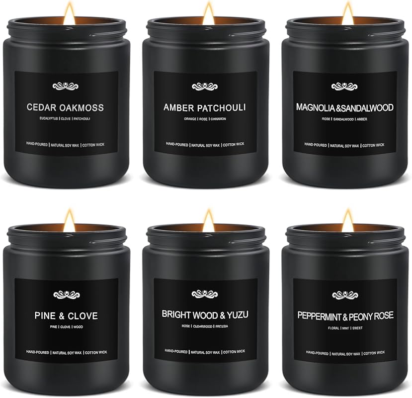 6-Pack Scented Aromatherapy Candles for Men