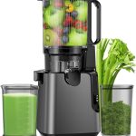 10 Best Blender And Juicer All In One: Expert Top Picks
