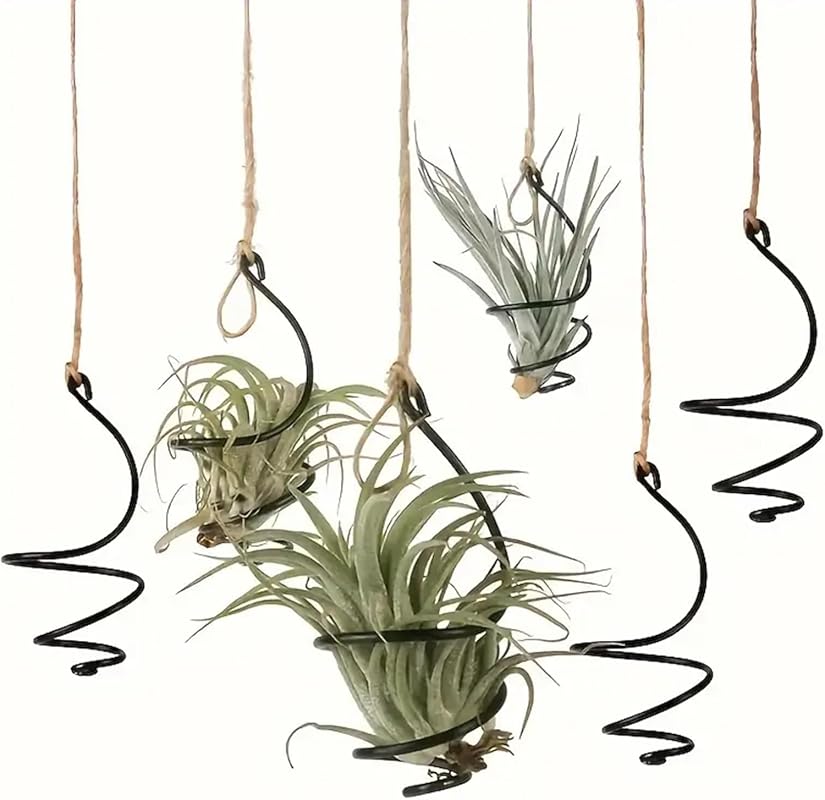 6-Pack Hanging Air Plant Holders with Jute Ropes