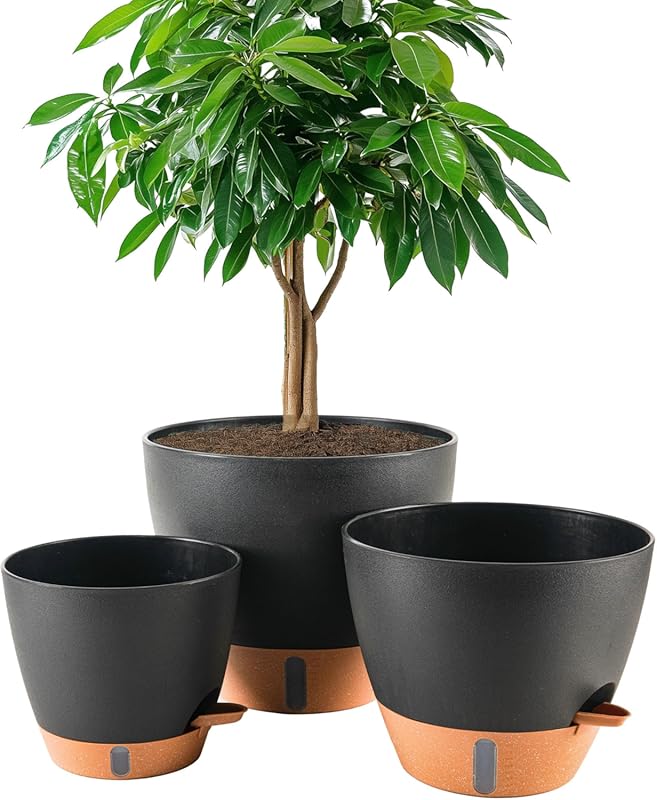Large Black Self-Watering Planters (8/10/12 Inch) for Indoor & Outdoor