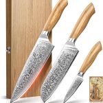 10 Best Damascus Kitchen Knife Sets: Expert-Approved Quality