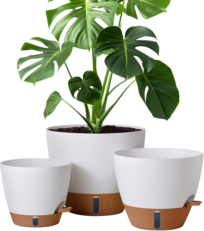 montresor Multi-Size Self-Watering Plastic Pots (12/10/8 Inch) with Wa