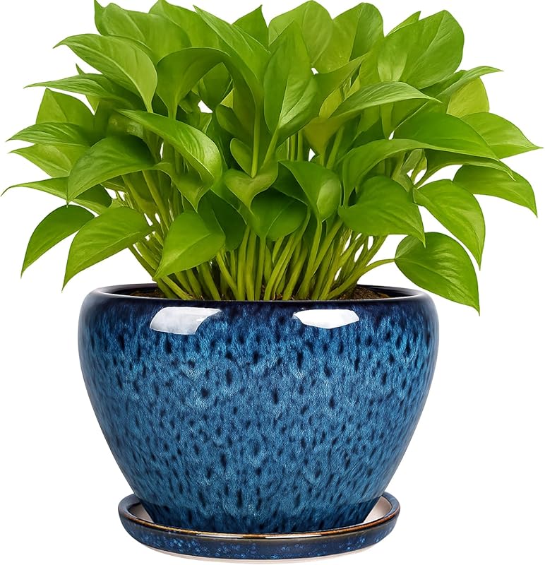 Deep Dream 6 Inch Blue Ceramic Planter Pot with Drainage & Saucer for 