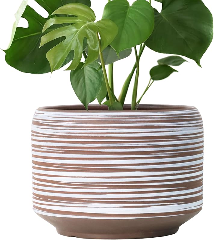 Large 10 Inch Ceramic Plant Pot with Drainage for Indoor Outdoor Moder