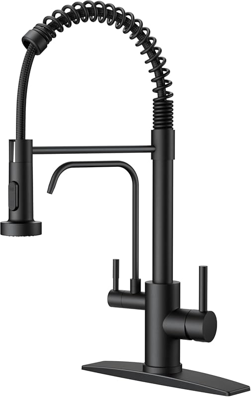 FORIOUS Black 2-in-1 Commercial Kitchen Faucet: Pull Down, 2 Handles,