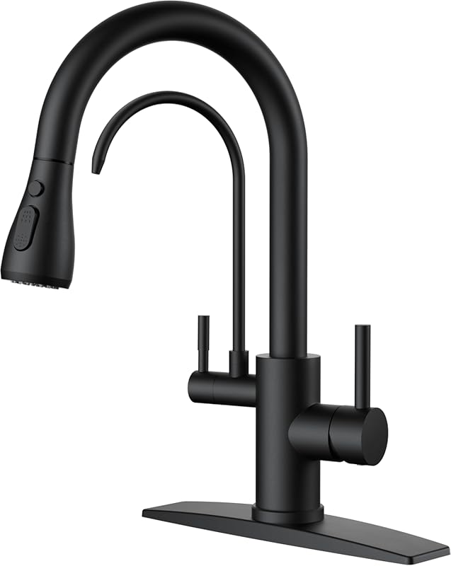 FORIOUS Black 2-in-1 Kitchen Faucet: Pull Down Sprayer, High Arc Singl