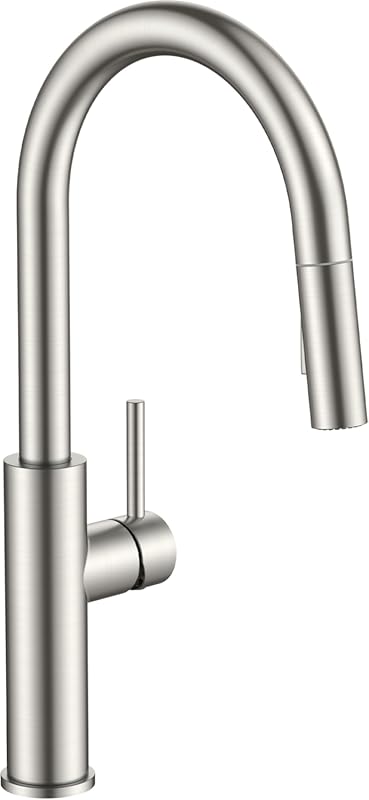 FORIOUS Classic Brushed Nickel Kitchen Faucet with Pull Down Sprayer, 