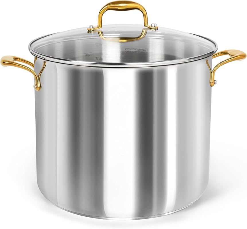 MICHELANGELO 20 Quart Stainless Steel Stock Pot with Lid & Ergonomic H