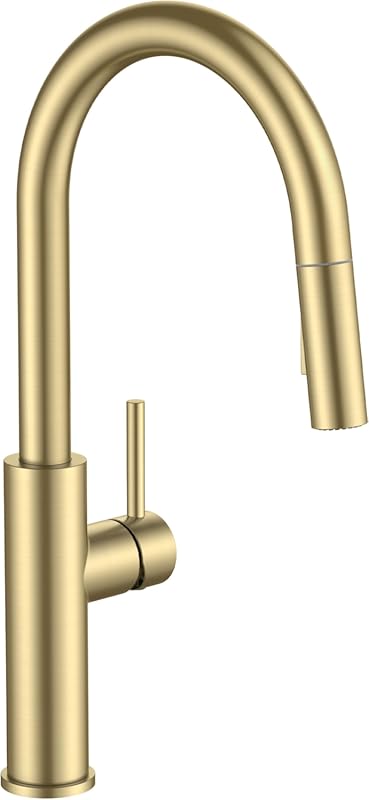FORIOUS Classic Brushed Gold Kitchen Faucet with Pull Down Sprayer, Hi
