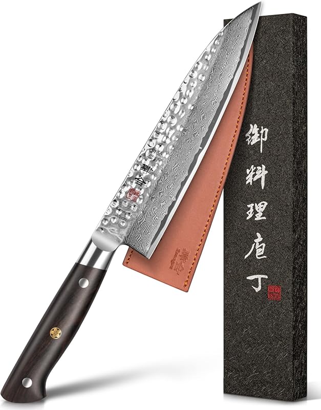 Professional 8.27-Inch Gyuto Chef Knife: 67-Layer Damascus AUS-10 Stee
