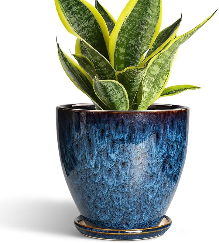 6 Inch Blue Ceramic Plant Pot with Drainage Hole & Saucer for Indoor/O