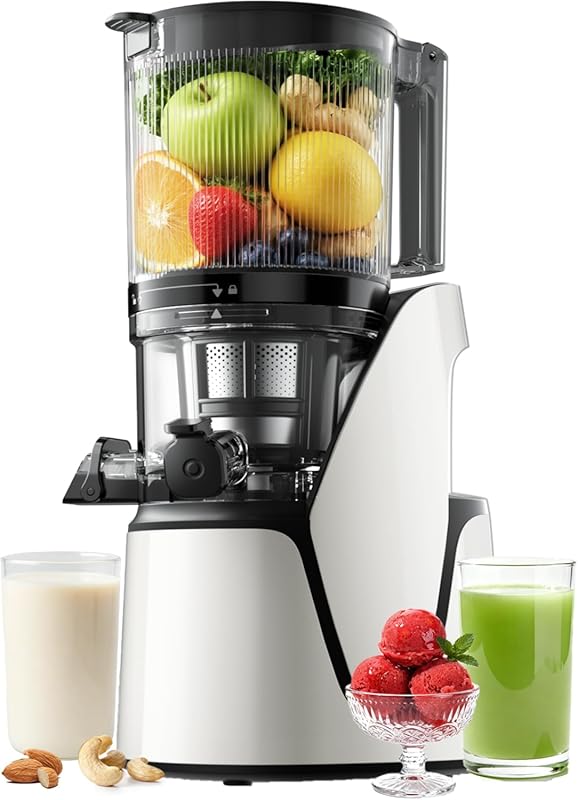 3-in-1 Cold Press Juicer Machine, 6.5