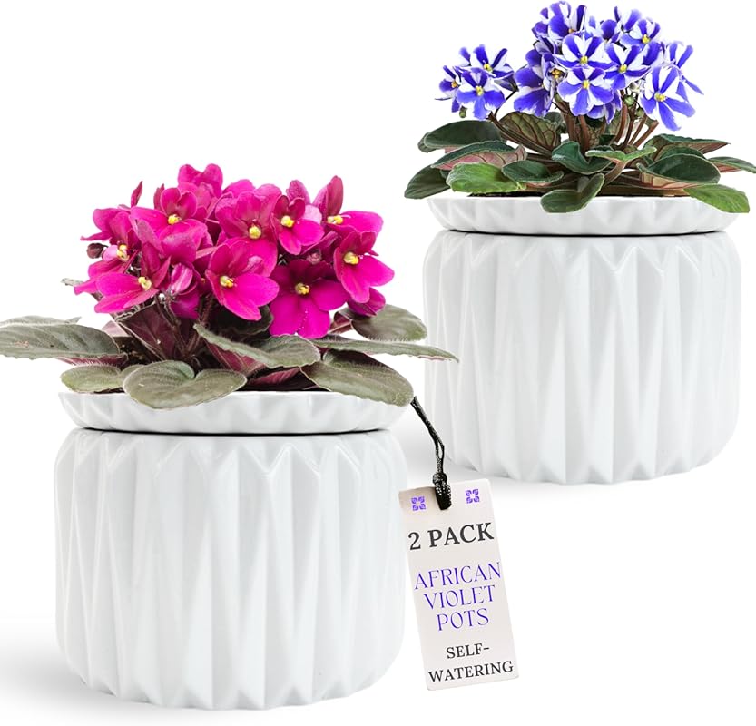 2 Pack White 6-Inch Ceramic Self Watering African Violet Pots with Res