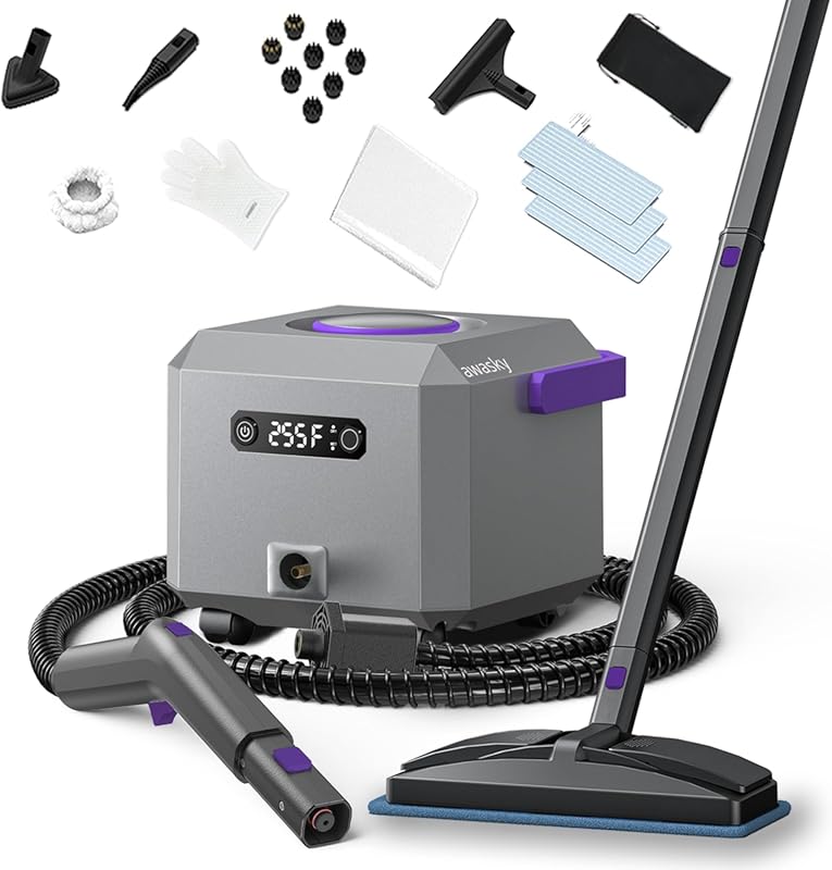 Canister Steam Cleaner with Fast Heat-Up, 0.6 Gal Tank, 21 Accessories