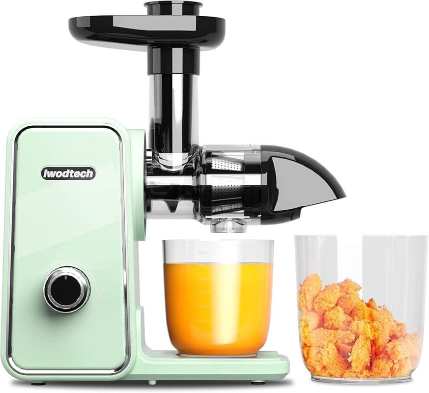 Cold Press Slow Masticating Juicer, 2 Speed Modes for Fruits, Veggies 