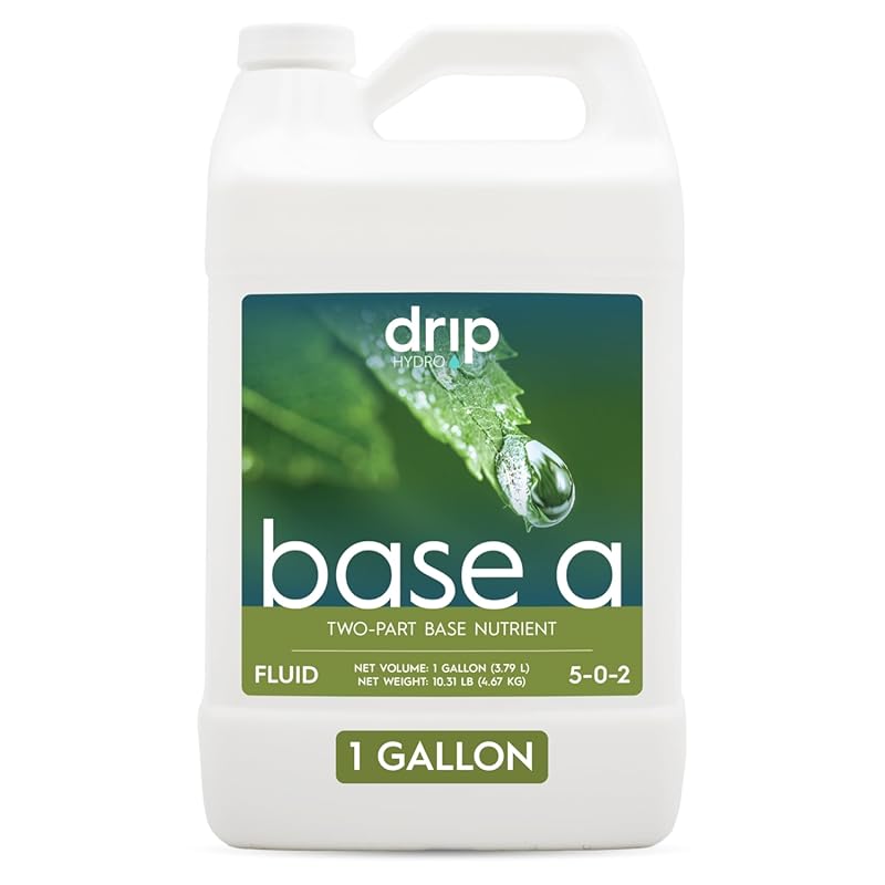 High-Quality General Purpose Liquid Base Concentrate, One Gallon Size 