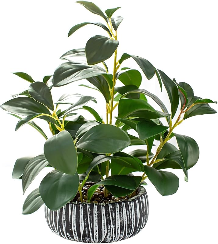 AlphaAcc Artificial Succulent Plants Decor, Potted Greenery with Rusti
