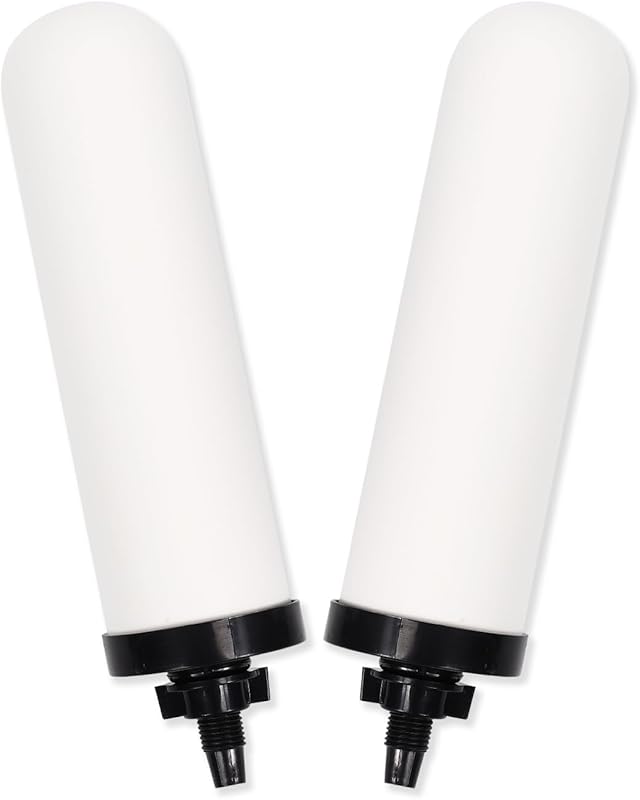 2-Pack 7-inch Ceramic Water Filter Candles with Activated Carbon for G