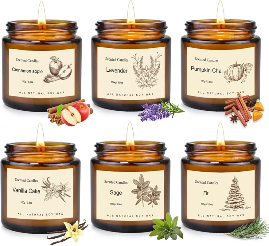 6 Pack Long Lasting Soy Scented Candles for Home, Holiday Aromatherapy