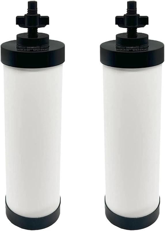 Virego Silver Infused Ceramic Filter Replacements (2-Pack) for Berkey 