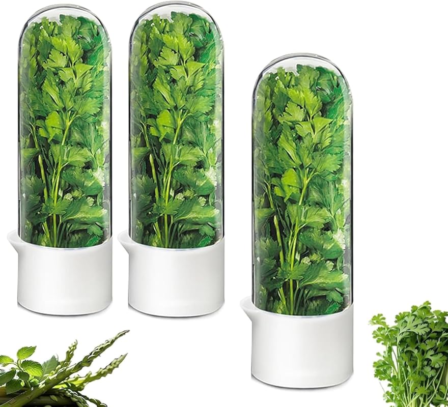 Herb Saver & Keeper for Refrigerator - Preserve Cilantro, Basil, Aspar