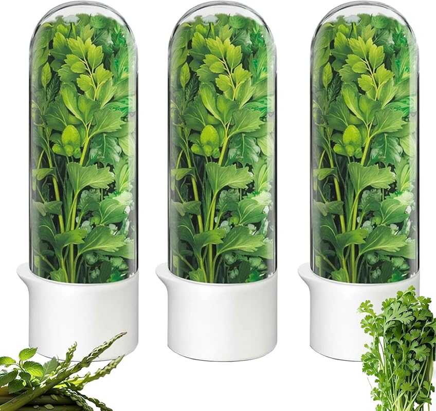 Fresh Herb Saver & Lettuce Keeper for Refrigerator - Preserve Cilantro