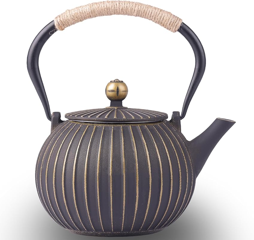 Japanese Tetsubin Cast Iron Teapot Kettle, 34oz Enamel Coated, Stoveto
