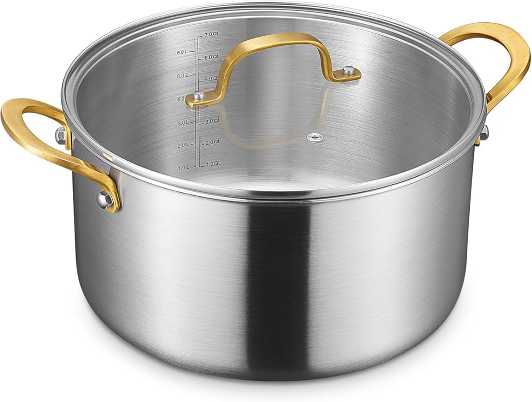 BEZIA 10-Quart 3-Ply Fully Clad Stainless Steel Stockpot with Lid, Eve