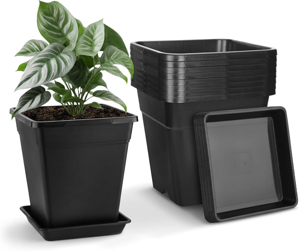 8 Pack 5 Gallon Black Square Plastic Nursery Pots (12 Inch) with Drain