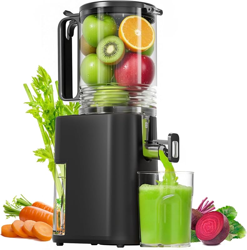 Cold Press Slow Masticating Juicer, 5.5