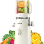 Top 10 2-in-1 Juicer & Blenders: Expert-Vetted for Performance